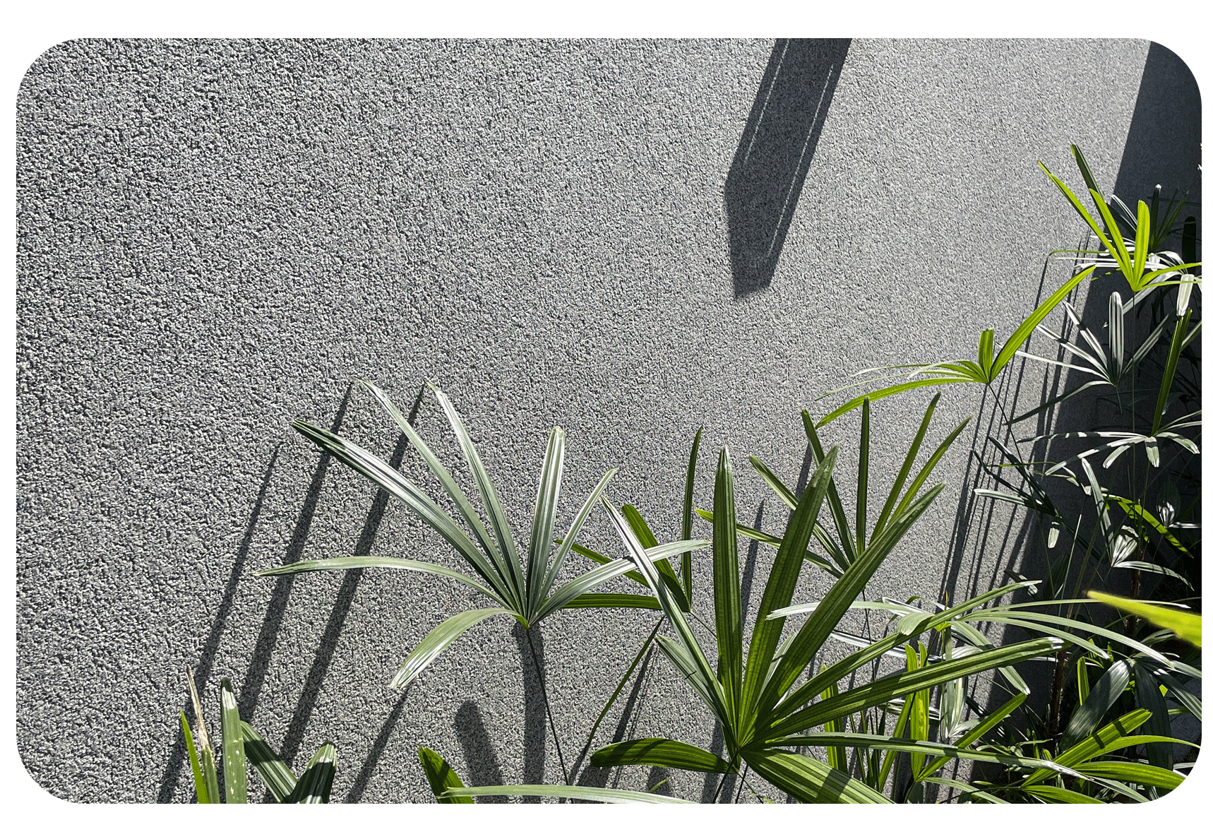 arenito_pedras_naturais_plantas_ornamento_franca_ideia_decoração_diy